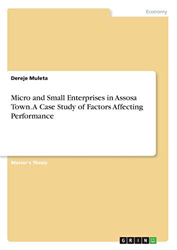 Micro and Small Enterprises in Assosa Town. A Case Study of Factors Affecting Performance