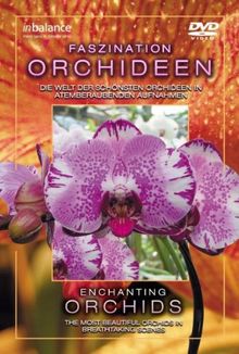 Faszination Orchideen