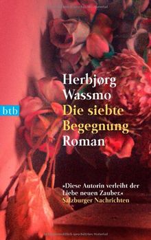 Die siebte Begegnung: Roman