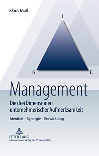 Management - Die drei Dimensionen unternehmerischer Aufmerksamkeit: Identität - Synergie - Entwicklung