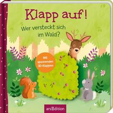 Klapp auf! Wer versteckt sich im Wald?: Mit spannenden 3D-Klappen | Erster Entdeckerspaß für Kinder ab 18 Monaten