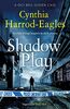 Shadow Play (Bill Slider Mysteries)