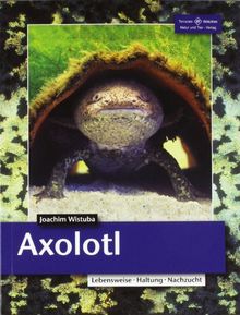 Axolotl: Lebensweise, Haltung, Nachzucht