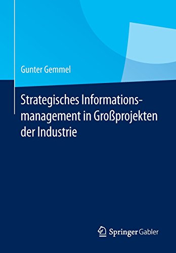 Strategisches Informationsmanagement in Großprojekten der Industrie (German Edition)