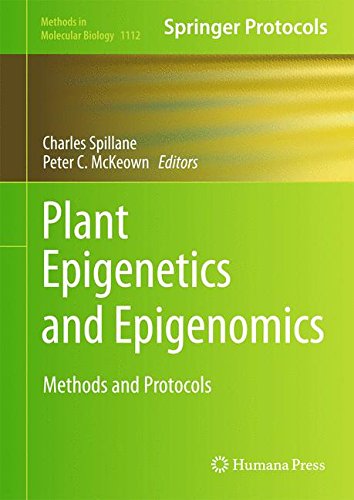 Plant Epigenetics and Epigenomics: Methods and Protocols (Methods in Molecular Biology)