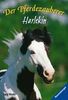 Der Pferdezauberer: Harlekin (Band 2)