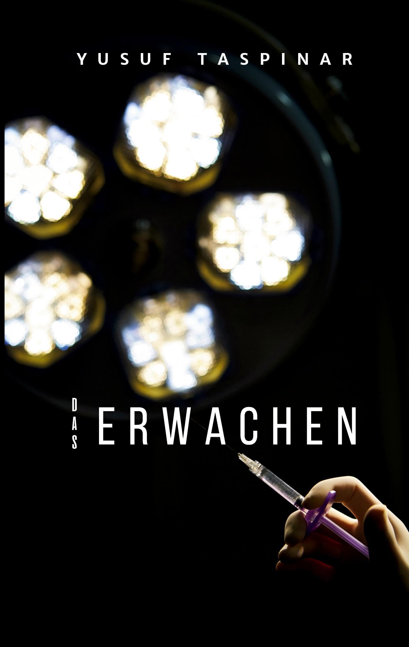 Das Erwachen: Ein biografischer Roman über das Geschenk des Lebens