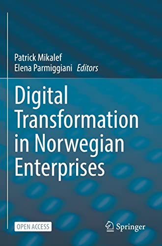 Digital Transformation in Norwegian Enterprises Kartoniert (TB)