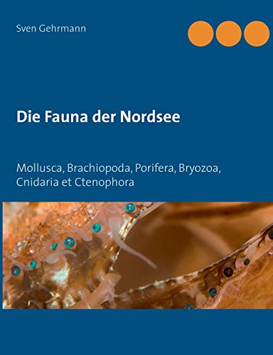 Die Fauna der Nordsee: Mollusca, Brachiopoda, Porifera, Bryozoa, Cnidaria et Ctenophora
