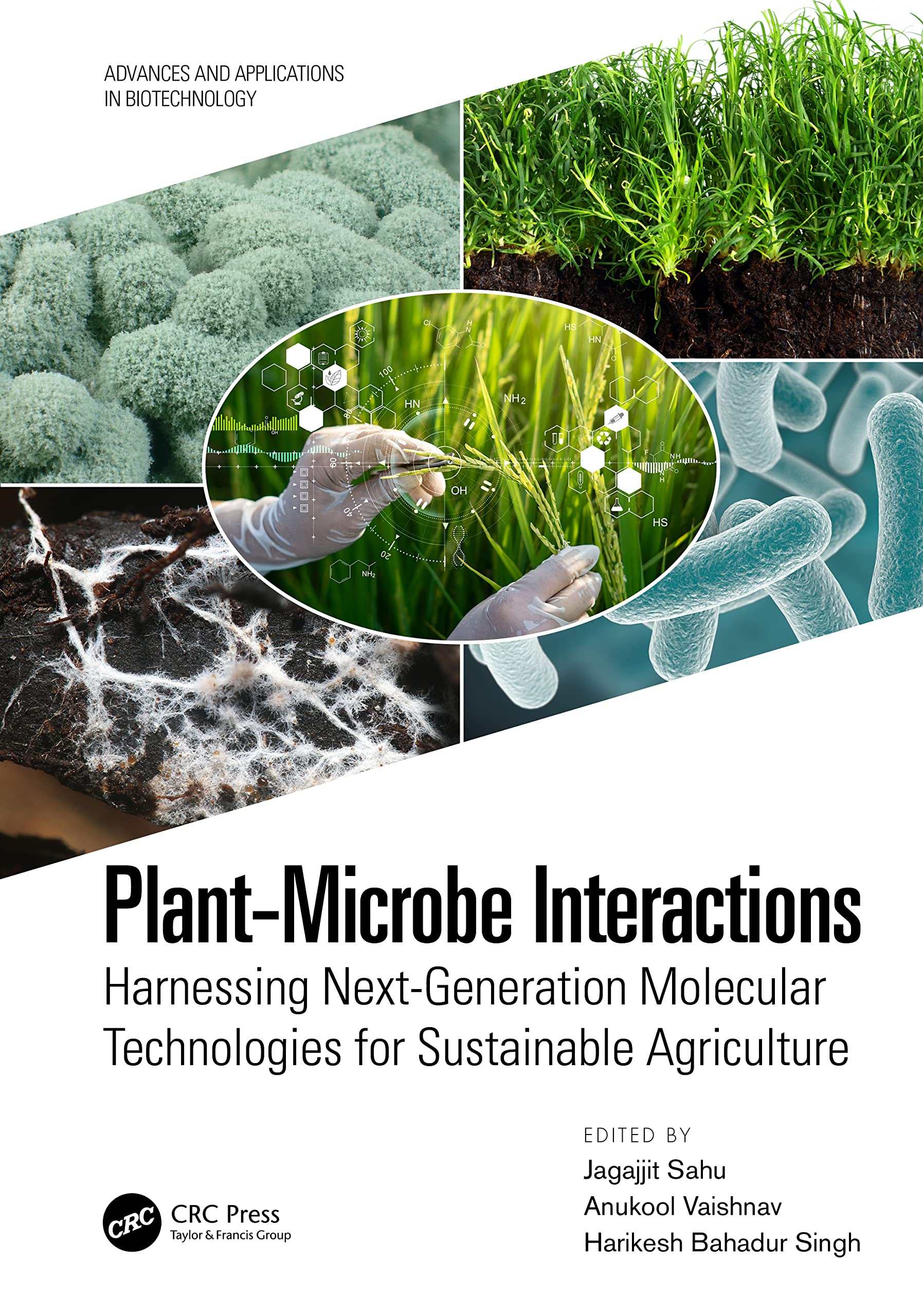Plant-Microbe Interactions: Harnessing Next-Generation Molecular Technologies for Sustainable Agriculture (Advances and Applications in Biotechnology)