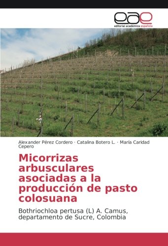 Micorrizas arbusculares asociadas a la producción de pasto colosuana: Bothriochloa pertusa (L) A. Camus, departamento de Sucre, Colombia