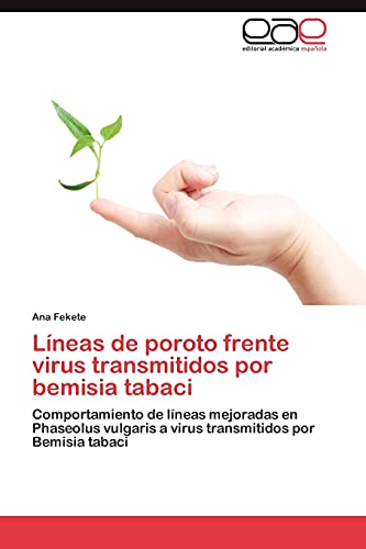 Líneas de poroto frente virus transmitidos por bemisia tabaci: Comportamiento de líneas mejoradas en Phaseolus vulgaris a virus transmitidos por Bemisia tabaci