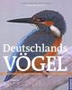 Deutschlands Vögel: Die Vögel unserer Heimat: Faszinierendes Leben zwischen Küste und Gebirge