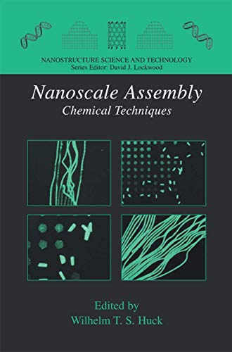 Nanoscale Assembly: Chemical Techniques (Nanostructure Science and Technology)