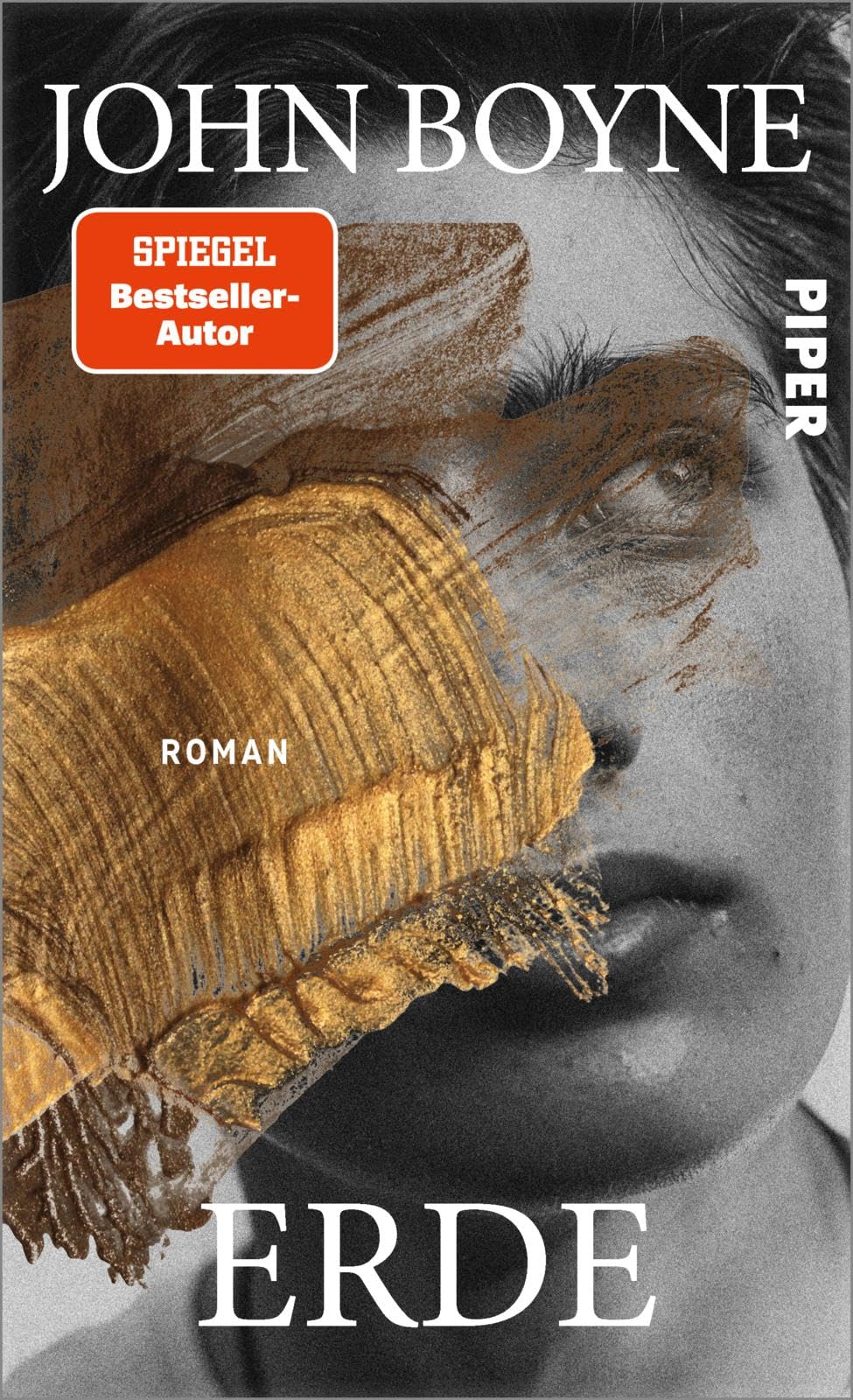 Erde (Die Elemente 2): Roman | Das große Erzählprojekt des irischen Bestsellerautors