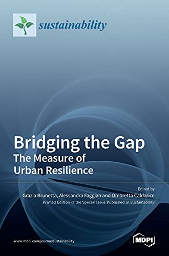 Bridging the Gap: The Measure of Urban Resilience