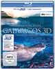 Faszination Insel - Galapagos (SKY VISION) [3D Blu-ray + 2D Version]