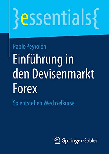 Einführung in den Devisenmarkt Forex: So entstehen Wechselkurse (essentials)