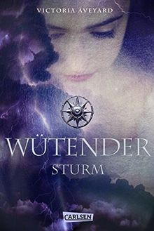 Wütender Sturm (Die Farben des Blutes 4)