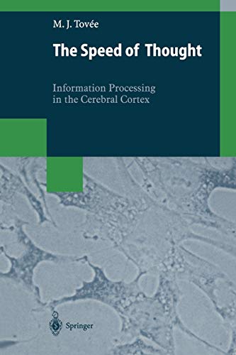 The Speed of Thought: Information Processing in the Cerebral Cortex