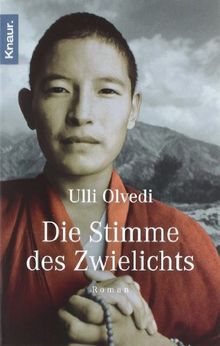 Die Stimme des Zwielichts: Roman