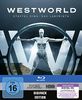 Westworld Staffel 1: Das Labyrinth [Blu-ray]