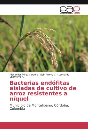 Bacterias endófitas aisladas de cultivo de arroz resistentes a níquel: Municipio de Montelibano, Córdoba, Colombia