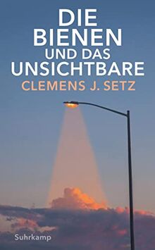 Die Bienen und das Unsichtbare (suhrkamp taschenbuch)