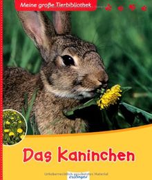 Das Kaninchen