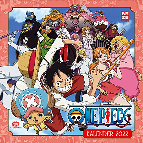One Piece Tv Serie Vol 24 Dvd Von Hiroaki Miyamoto