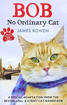 Bob - No Ordinary Cat