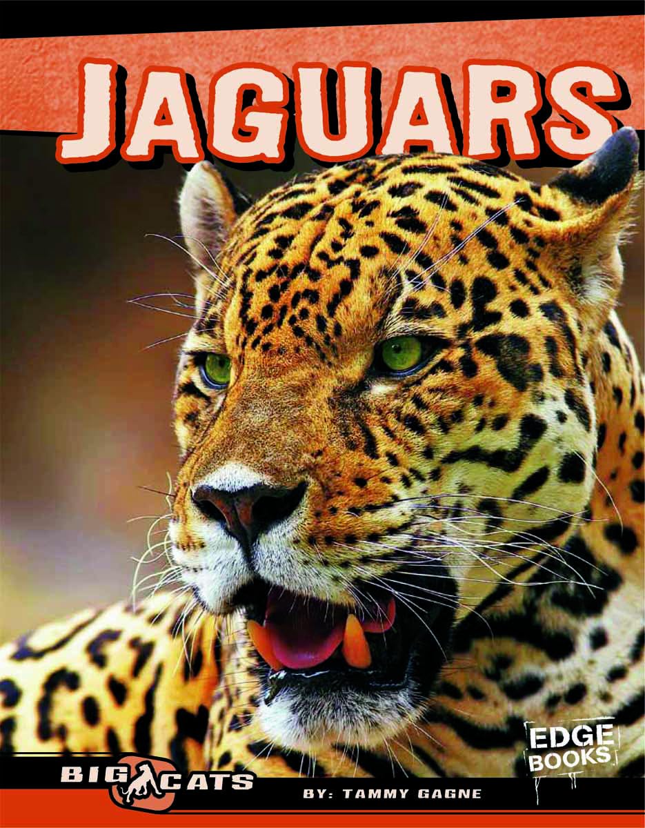 Jaguars (Big Cats)