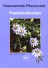 Passionsblumen: Faszinierende Pflanzenwelt