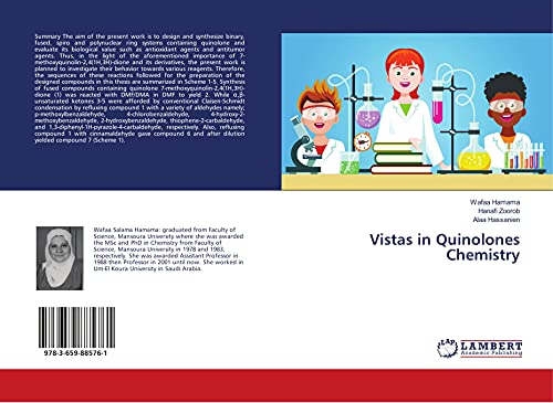 Vistas in Quinolones Chemistry