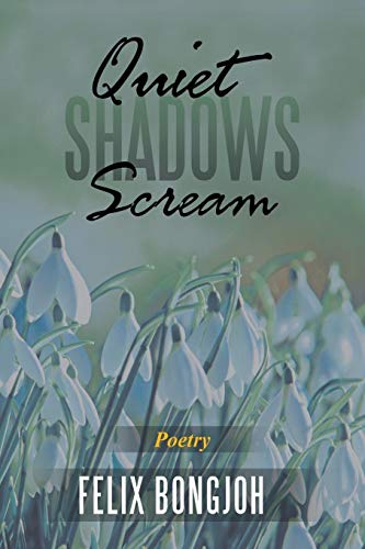 Quiet Shadows Scream