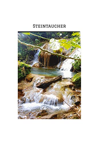 STEINTAUCHER Liebesdurstige Beobachtungen eines in die Jahre gekommenen Mannes. Gerade so,als hätte da jemand noch einmal seine Träume an das Firmament gehangen.: Begegnung/Kollision/Impuls