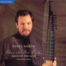Bach on the Lute Vol.2