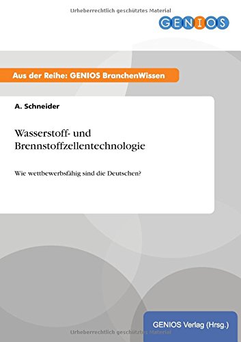 Wasserstoff- und Brennstoffzellentechnologie: Wie wettbewerbsfähig sind die Deutschen?