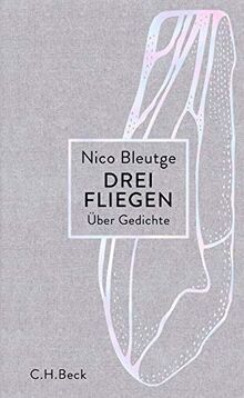 Drei Fliegen: Über Gedichte