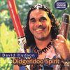 Didgeridoo Spirit [Musikkassette]