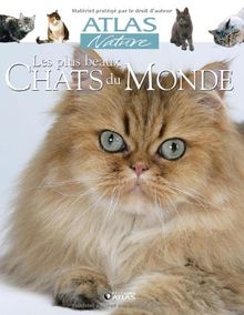 Les plus beaux chats du monde