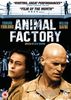 Animal Factory [UK Import]