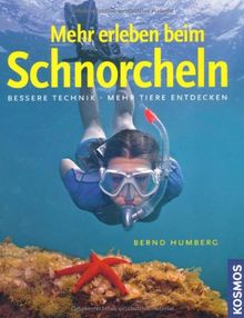 Mehr erleben beim Schnorcheln: Bessere Technik, mehr Tiere entdecken