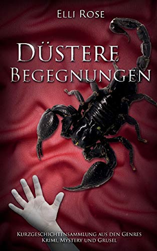Düstere Begegnungen: Kurzgeschichtensammlung aus den Genres Krimi, Mysterie umd Grusel