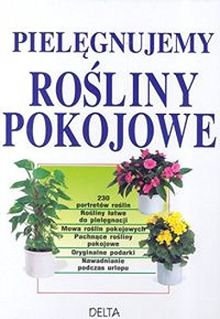 Pielegnujemy rosliny pokojowe