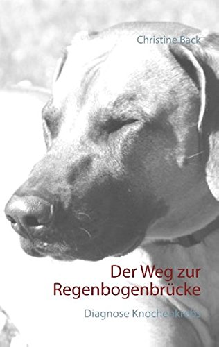 Der Weg zur Regenbogenbrücke: Diagnose Knochenkrebs