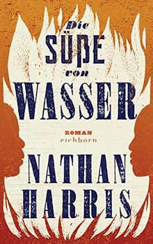Die Süße von Wasser: Roman