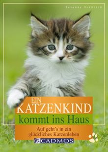 Ein Katzenkind kommt ins Haus: Auf geht's in ein glückliches Katzenleben