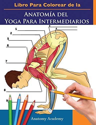 Libro Para Colorear de la Anatomía del Yoga Para Intermediarios: 50+ Ejercicios de Colores con Posturas de Yoga Para Intermediarios | El Regalo ... Instructores de Yoga, Maestros y Aficionados