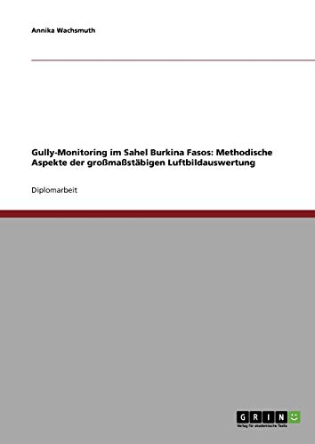 Gully-Monitoring im Sahel Burkina Fasos: Methodische Aspekte der großmaßstäbigen Luftbildauswertung